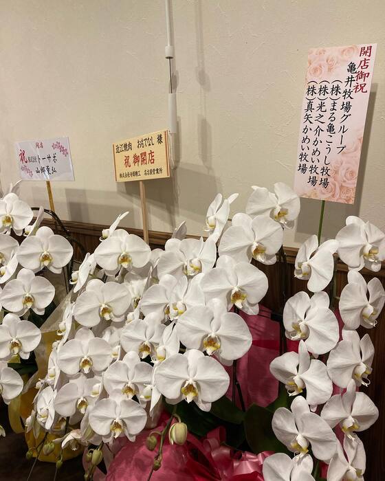 画像316