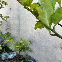 画像397