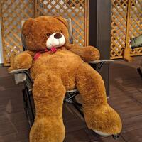 画像467