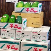 画像482