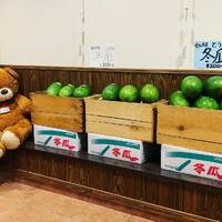 画像483