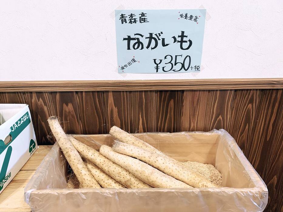 画像485