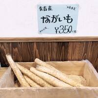 画像491