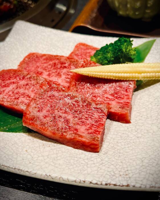 画像501