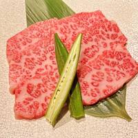 画像526
